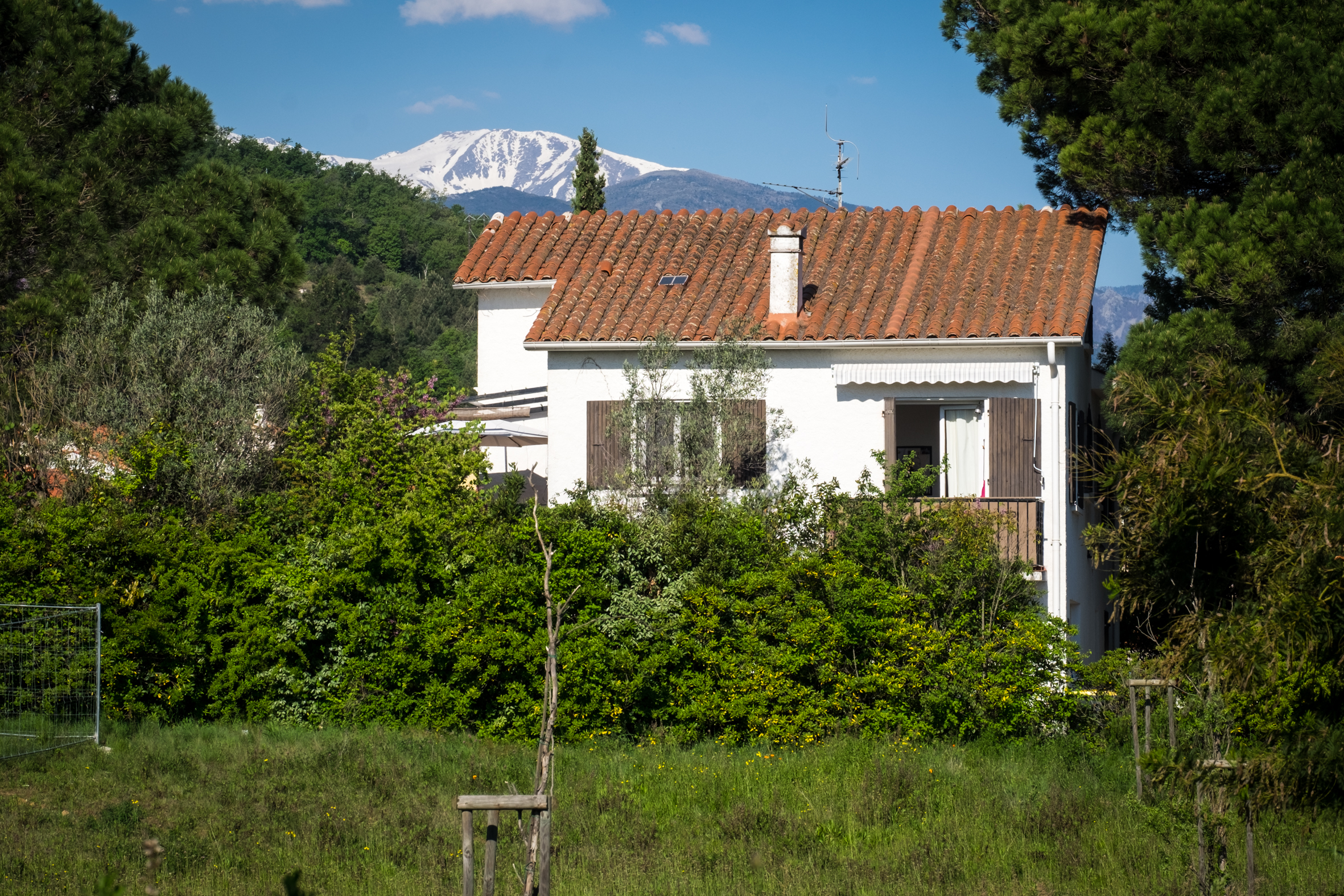 Villa Alosa with the snow-capped Canigou behind