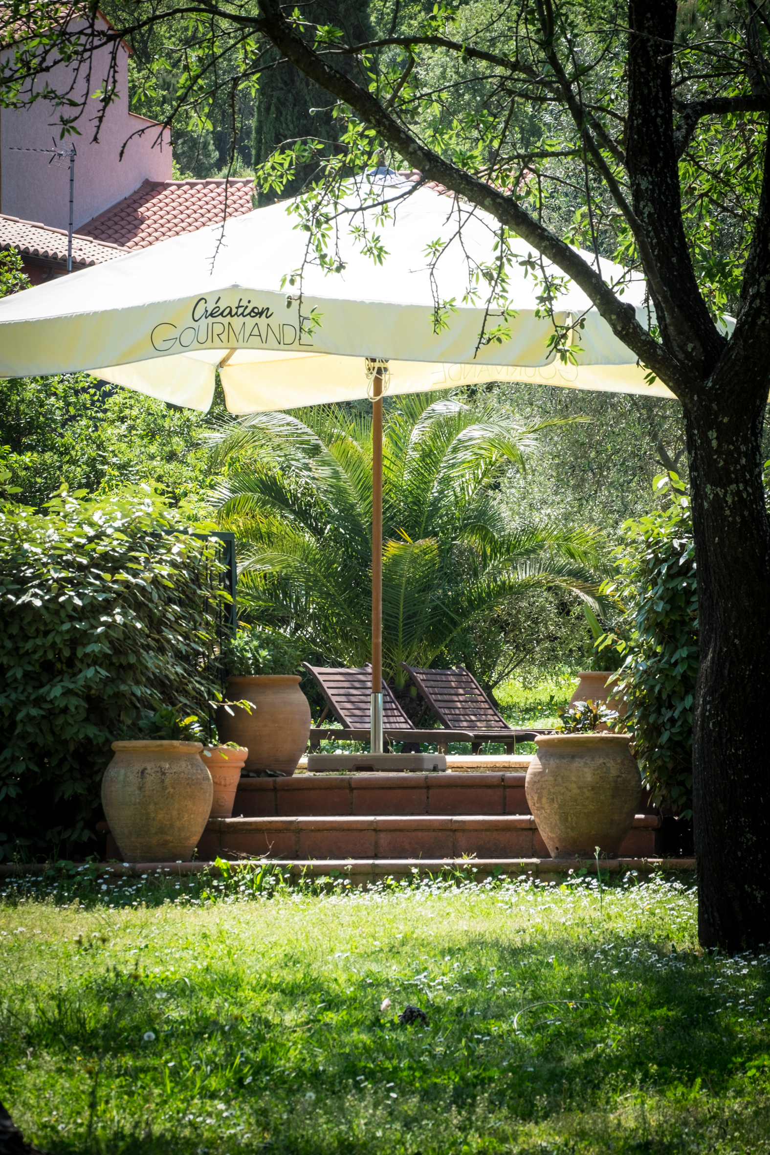 Sun loungers under a large parasol on a terracotta terrace in the garden of Villa Alosa, with olive jars, a palm and an olive tree